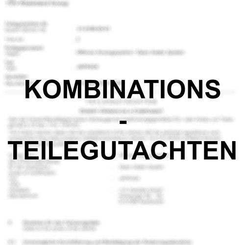 TÜV Kombinationsgutachten passend für Ford Fiesta ST MK7 / Puma ST MK2