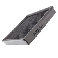 Ramair Proram Series Performance Luftfilter passend...